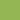 Kiwi Kiwi