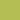 Kiwi Kiwi