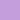 Orchid Orchid