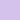Wisteria Wisteria