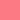 Coral Coral
