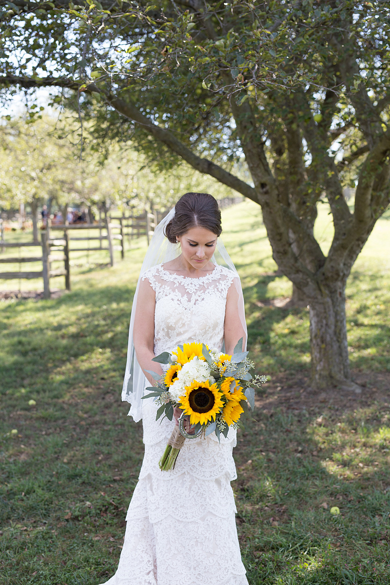Ashley Photo