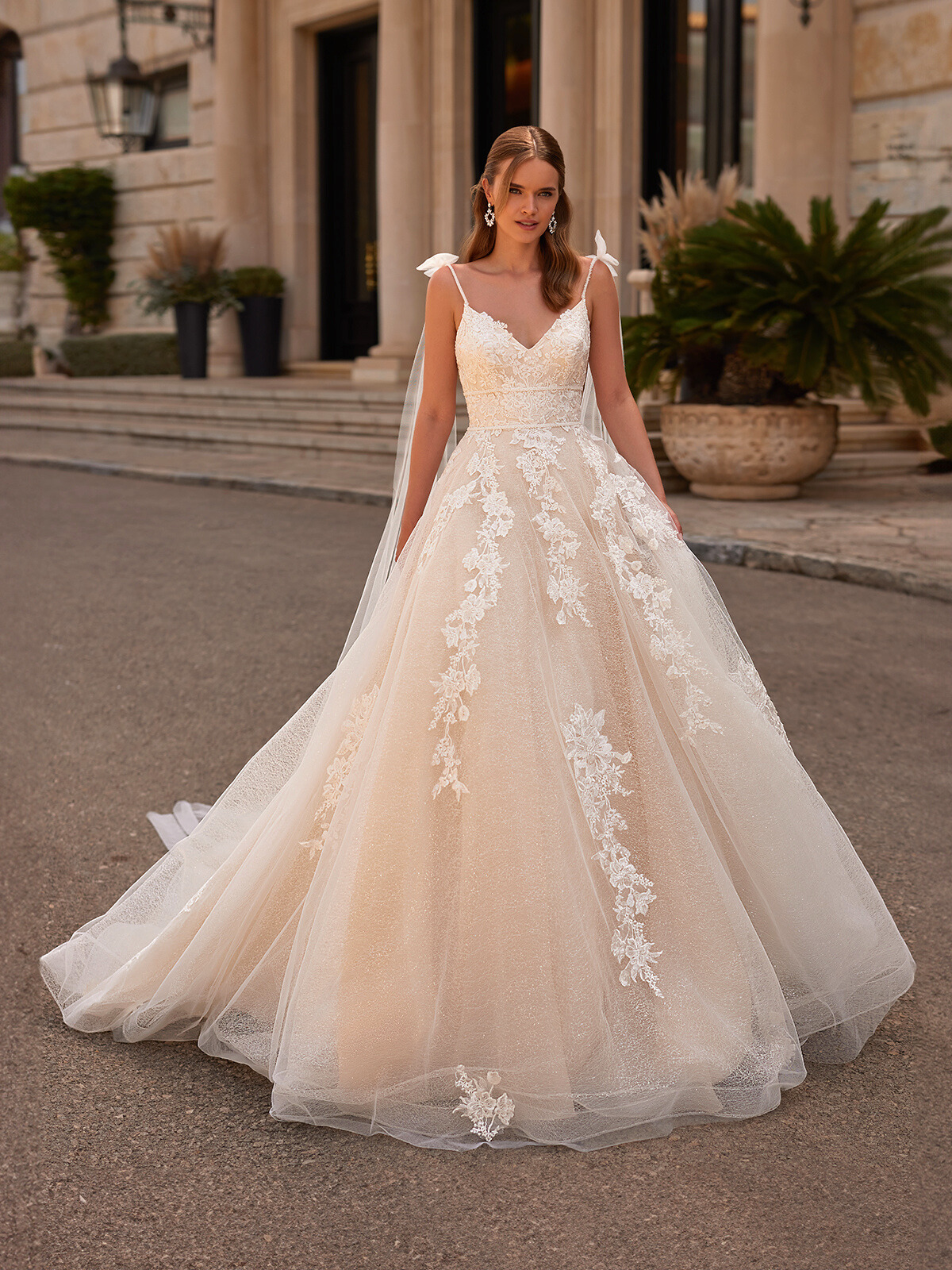 Full A-line Wedding Dress with Detachable Bows