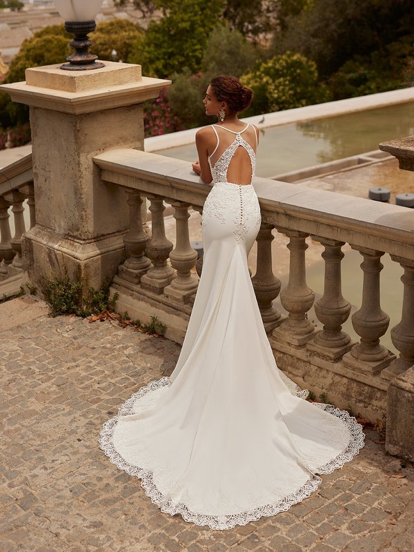 Backless Wedding Dresses: The 21 Bridal Gowns + Faqs | Backless wedding, Backless  wedding dress, Wedding dresses lace