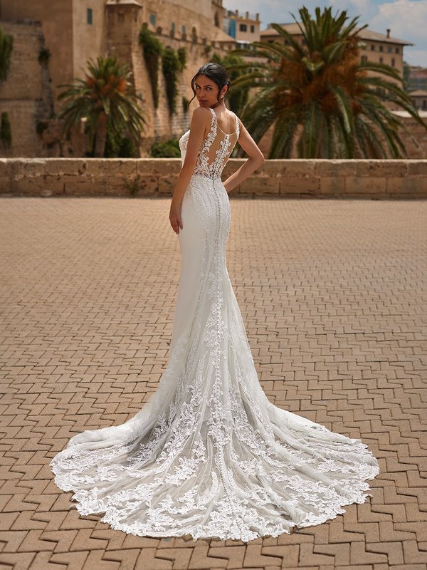 Back View Of Bride Wearing Wedding Dress With Semi-Cathedral Train With Lace and Illusion Back