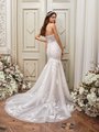 Moonlight Collection J6857 Sparkly Lace Appliques over Tulle Illusion Open Back Mermaid with Chapel Train Moonlight Collection J6857 Sparkly Lace Appliques over Tulle Illusion Open Back Mermaid with Chapel Train