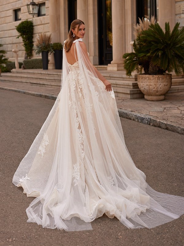 Back View of Bride Wearing An A-line Wedding Dress With Detachable Tulle Wings